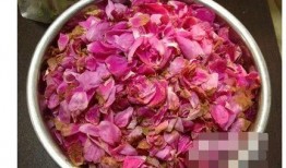 娱乐吃瓜酱带刺的玫瑰,揭秘带刺玫瑰背后的故事