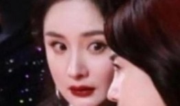 娱乐圈的瓜免费吃,免费品尝明星八卦盛宴