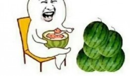 吃瓜的娱乐号叫什么来着,那些年我们一起追过的吃瓜号