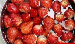 娱乐吃瓜草莓,揭秘娱乐圈的甜蜜秘密